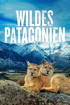 Image Wildes Patagonien