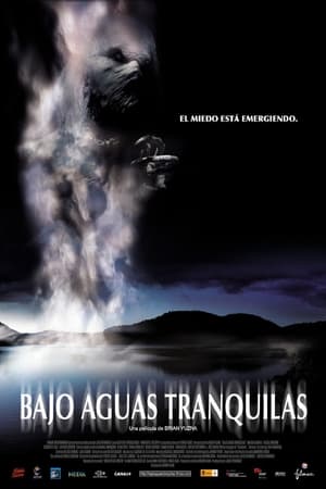 Poster Bajo aguas tranquilas 2005