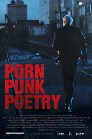 Poster Porn Punk Poetry 2014