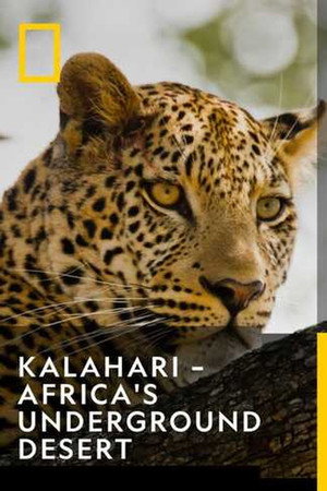 Kalahari &ndash; Africa's Underground Desert