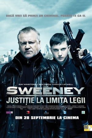 Poster Justiție la limita legii 2012