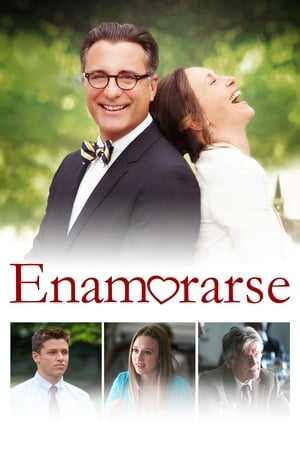 Poster Enamorarse 2013