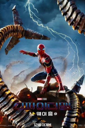 poster Spider-Man: No Way Home