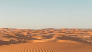 Sahara Swing film complet