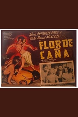 Poster Flor de caña 1948
