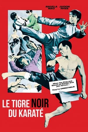 Poster 跆拳震九州 1973