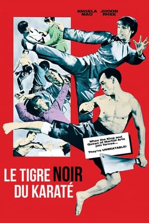 Poster Le tigre noir du karaté 1973