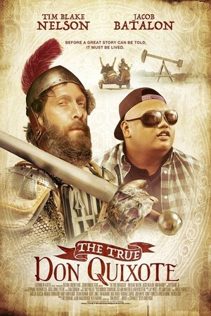Baixar The True Don Quixote (2019) Torrent Dublado Baixar The True Don Quixote (2019) Dublado via Torrent