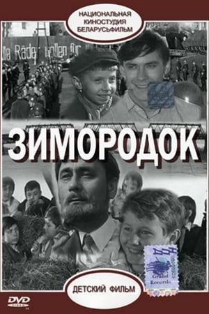 Poster Зимородок 1972