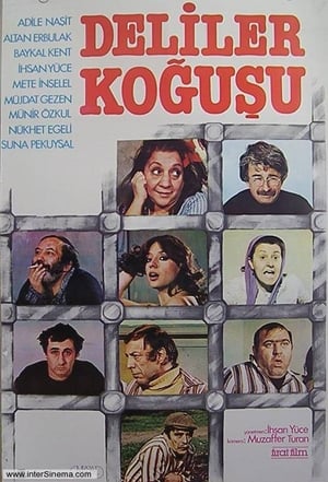 Deliler Koğuşu poster