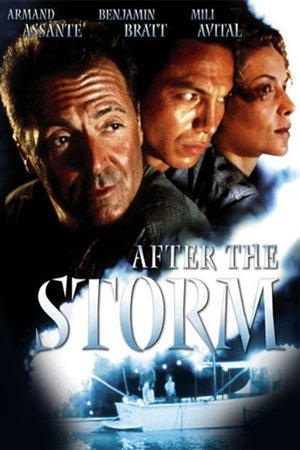 After the Storm film complet