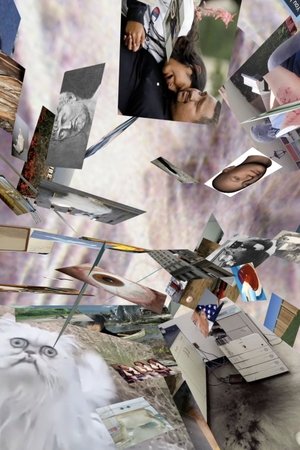 Nonton film When an image finds herself in an echo chamber (2021) terbaru sub indo Nonton film When an image finds herself in an echo chamber (2021) terbaru sub indo