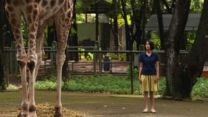 Postcards from the Zoo film complet