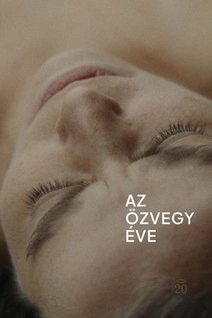 Image Az özvegy éve