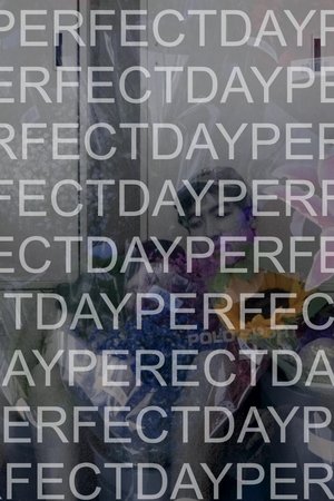 Poster di Perfect Day