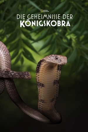 Image Secrets of the King Cobra