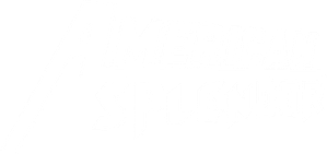 American Splendor