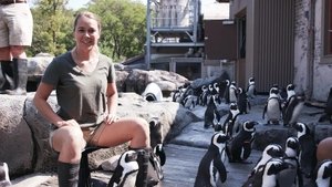 Adorable Penguin Party