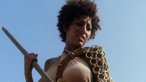 The Arena (1974)