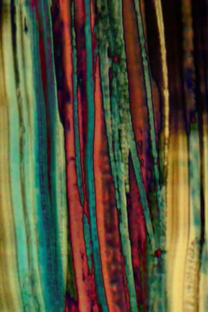 Breathing Room (2016)