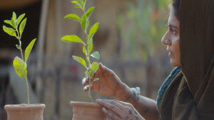 Saas, Bahu Aur Flamingo: 1×3