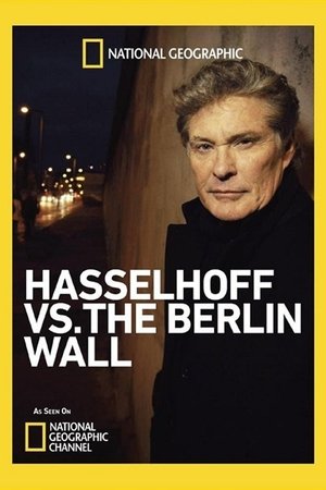 Image Hasselhoff vs. The Berlin Wall