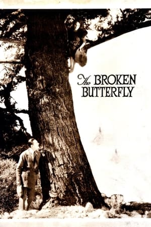 The Broken Butterfly 1919