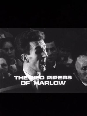 Nonton film The Pied Pipers of Harlow (1965) terbaru sub indo Nonton film The Pied Pipers of Harlow (1965) terbaru sub indo