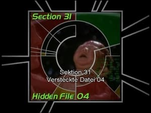 Image Section 31: Hidden File 04 (S05)