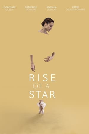 Poster Rise of a Star 2017