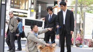 Épisode 4