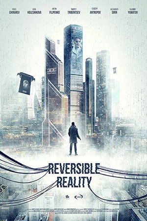 Reversible Reality