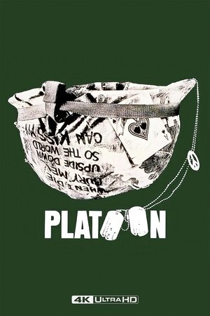 poster Platoon