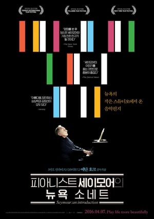 Poster 피아니스트 세이모어의 뉴욕 소네트 2015