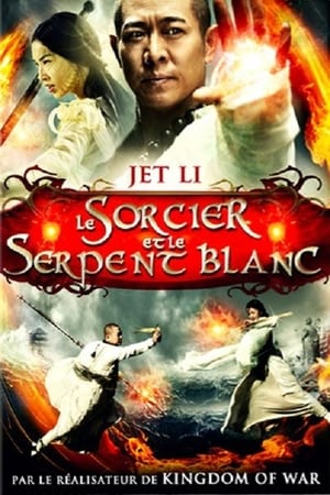 Poster Le Sorcier et le Serpent blanc 2011