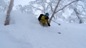 Journeys in Japan: 13×4