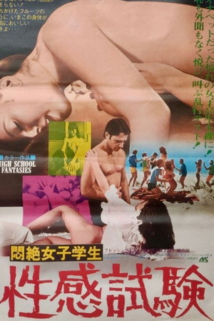 High School Fantasies
