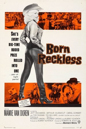 Born Reckless poster