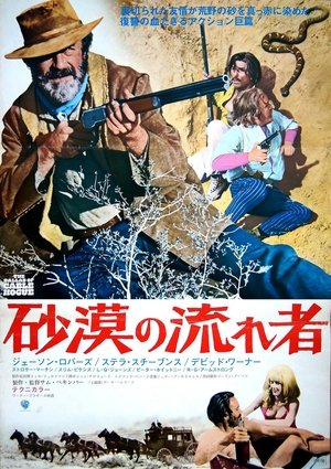 砂漠の流れ者 (1970)