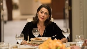 Succession 1×5