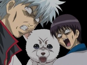 Gintama: 2×24