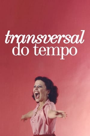 Poster Transversal do Tempo 2020