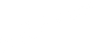A Flor do Meu Segredo — Logos 1