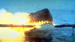 Jaws 2 (1978) English Movie Download & Watch Online BluRay 480p & 720p