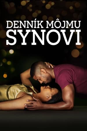 Poster Denník môjmu synovi 2021