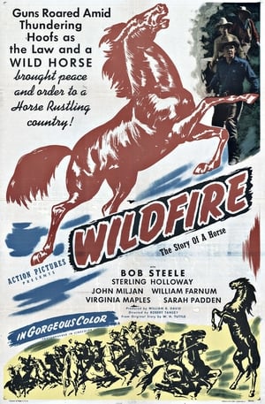 Wildfire poster