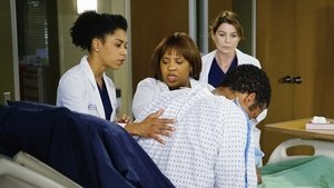 Grey’s Anatomy 11 x Episodio 12