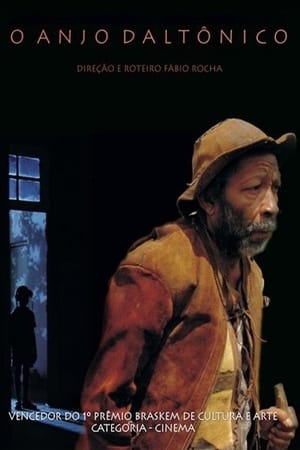 Poster O Anjo Daltônico (2004)