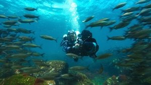 Animals Up Close with Bertie Gregory Galapagos Marvels