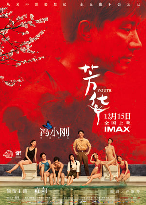 芳华 (2017)